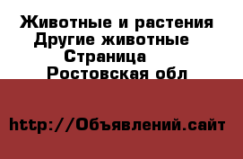 Животные и растения Другие животные - Страница 3 . Ростовская обл.